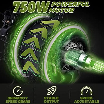 ECOTRIC Adult Electric Bike 26 x 4.0 in Fat Tires, 750W, 48V 13AH - Hammer