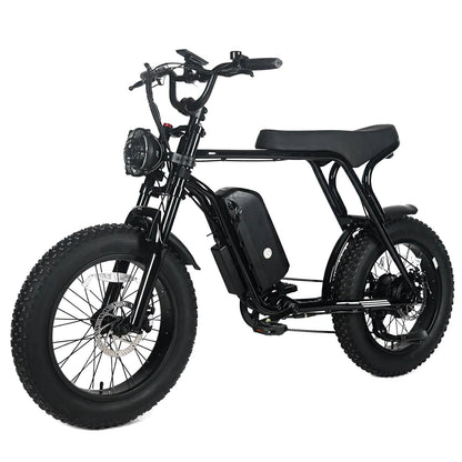 Electric Mountain Bike For Adults, 20 x 4.0 Fat Tires, 1000W Motor, 48V 20Ah Battery, Black - G-M1Sp