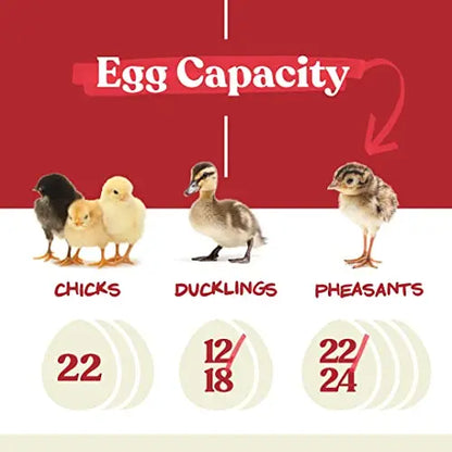 Harris Farms Egg Incubator For Hatching Chicks, Holds 22 Eggs - Nurture Right