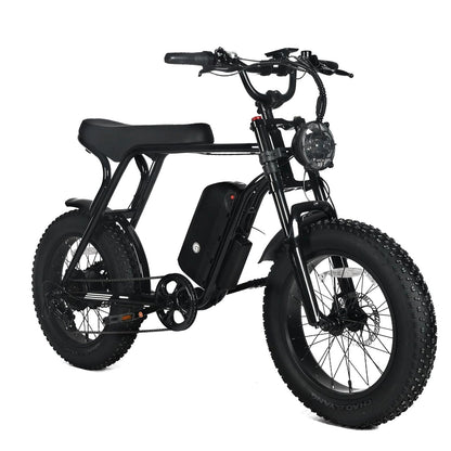 Electric Mountain Bike For Adults, 20 x 4.0 Fat Tires, 1000W Motor, 48V 20Ah Battery, Black - G-M1Sp