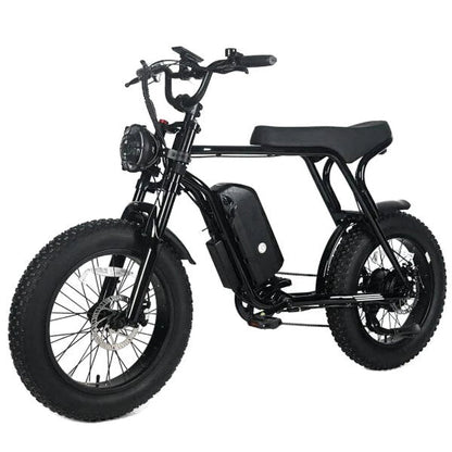 Electric Mountain Bike For Adults, 20 x 4.0 Fat Tires, 1000W Motor, 48V 20Ah Battery, Black - G-M1Sp