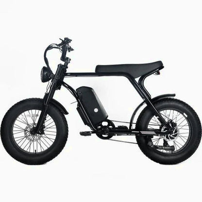 Electric Mountain Bike For Adults, 20 x 4.0 Fat Tires, 1000W Motor, 48V 20Ah Battery, Black - G-M1Sp