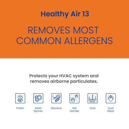 AprilAire Whole-House Air Purifier Replacement Filter, MERV 13, 20 x 25 x 4 Inches, Pack Of 1 - 213