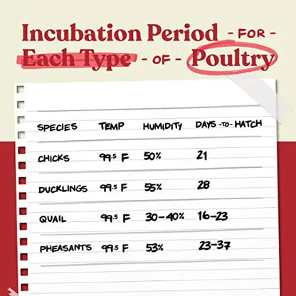 Harris Farms Egg Incubator For Hatching Chicks, Holds 22 Eggs - Nurture Right